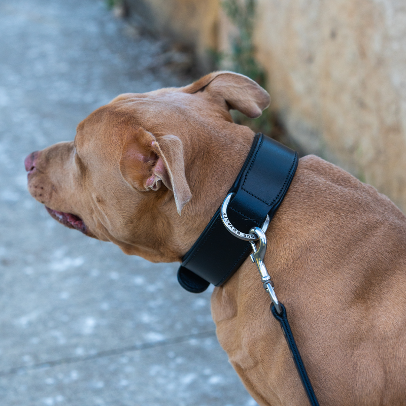 Hand Made Leather Dog Collar - Classic Black & Chrome (Wide Fit)