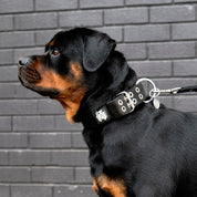 SUPATUFF® Strong Dog Collar Black (Wide Fit)