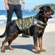 A Rottweiler dog standing on a beach wearing a camouflage utility vest, with a person blurred in the background near the ocean.
