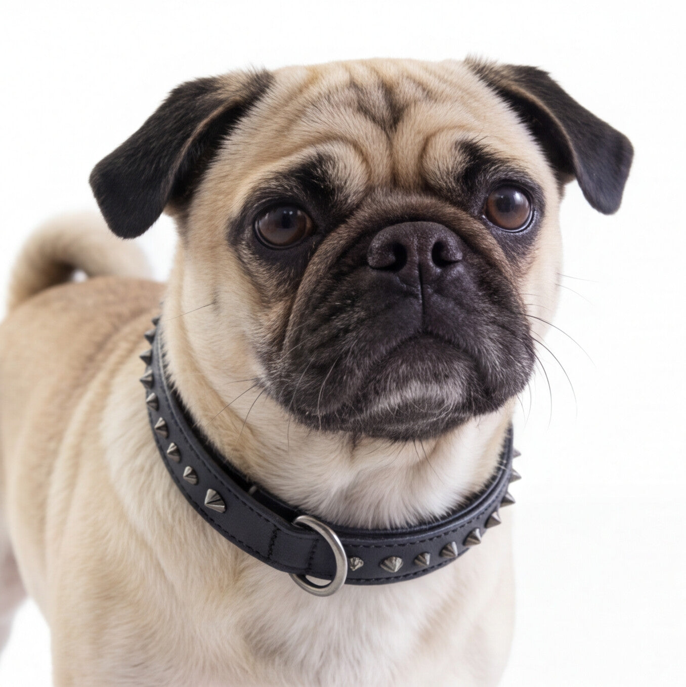 Hand Made Leather Dog Collar - Ruthless Black & Black (Slim Fit)
