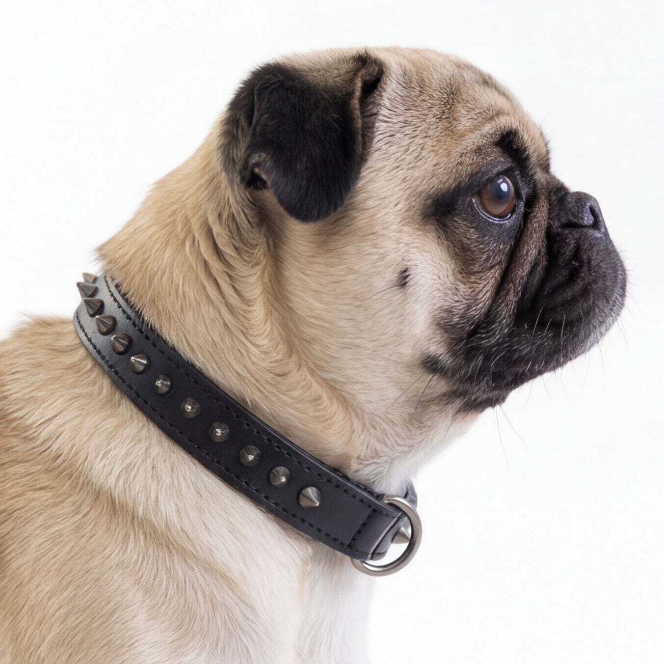 Hand Made Leather Dog Collar - Ruthless Black & Black (Slim Fit)