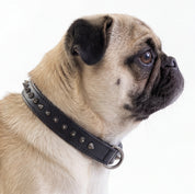 Hand Made Leather Dog Collar - Ruthless Black & Black (Slim Fit)