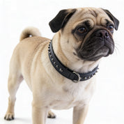 Hand Made Leather Dog Collar - Ruthless Black & Black (Slim Fit)