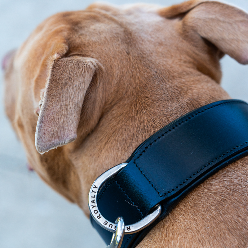 Hand Made Leather Dog Collar - Classic Black & Chrome (Wide Fit)