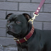 Hand Made Leather Dog Collar - RuffNeck Cherry & Brass (Regular Fit)