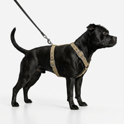 SUPATUFF Dog Harness Desert Wolf Color Slim Fit Size