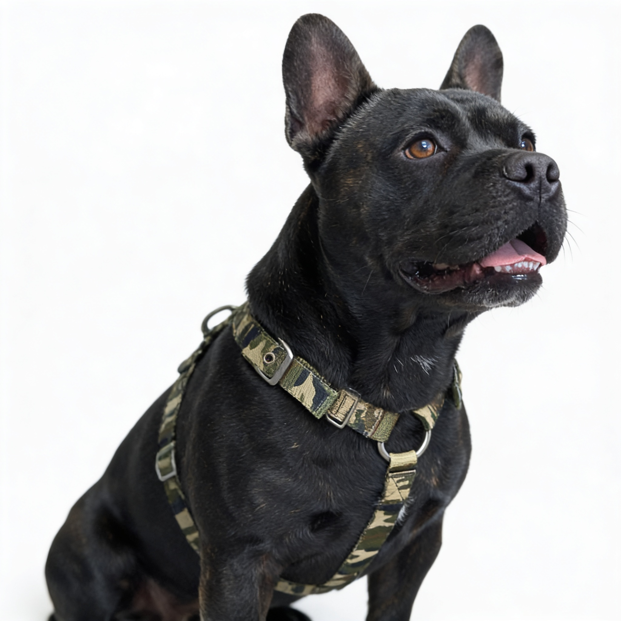 SUPATUFF® Strong Dog Harness – Camoflague | Slim Fit
