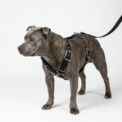 SUPATUFF® Strong Dog Harness – Black | Slim Fit