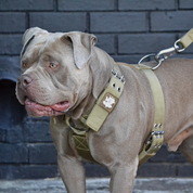 SUPATUFF® Heavy Duty Dog Harness – Desert Wolf | Wide Fit