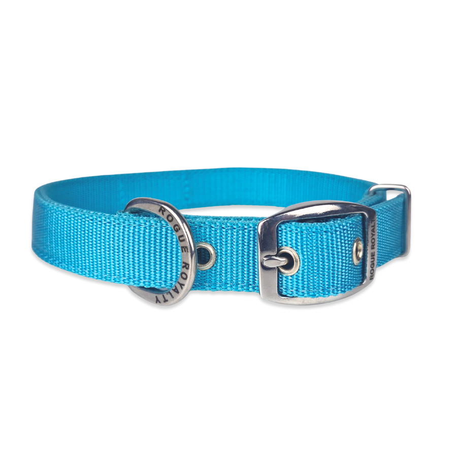 turquoise-collar-slimft-1.png