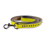 Leather Dog Leash - Ruthless Yellow & Black