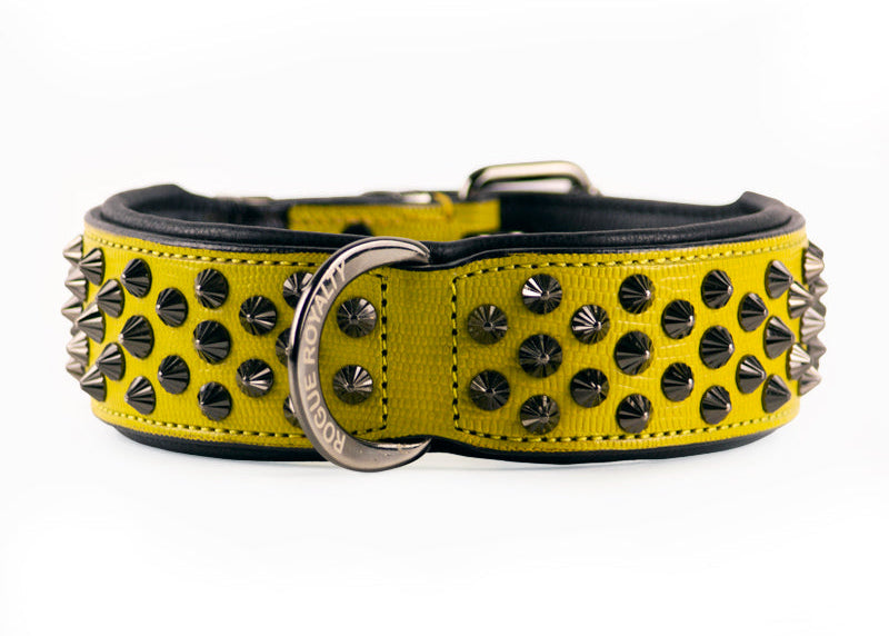 yellow-leather-wide-dog-collars_42bcee7f-44fd-4e8a-b304-570dbb1f89dc.jpg