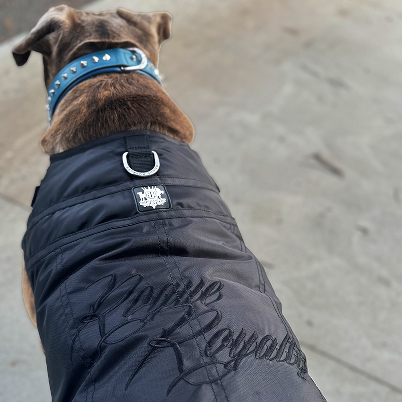 Dog Jacket | Fast Fit Black