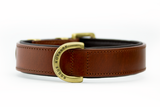 Leather Dog Collar - Classic Brown & Brass (Regular Fit)